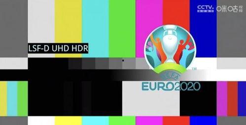 爆料欧洲杯的视频在哪看,独家爆料视频观看指南